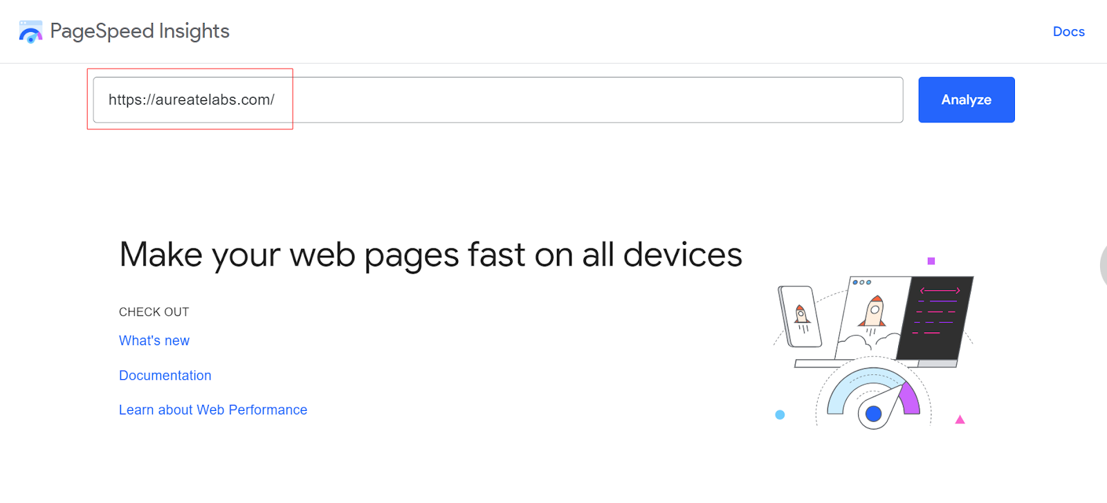 A View into Google PageSpeed Insights