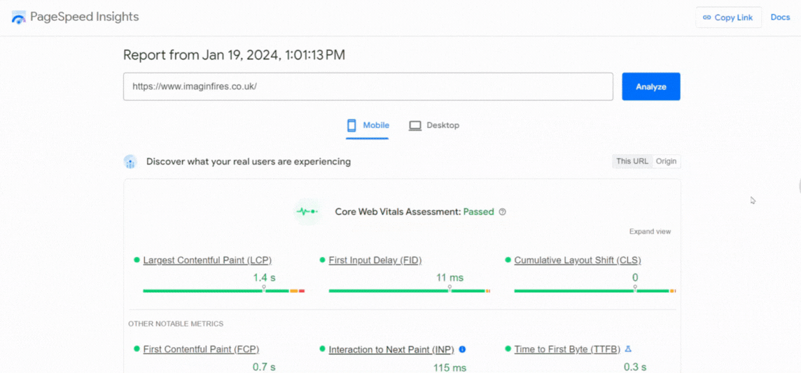 Example of Google Page Speed Insights report