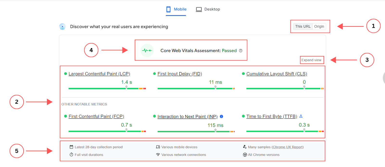 PageSpeed Insights report breakdown - field data section