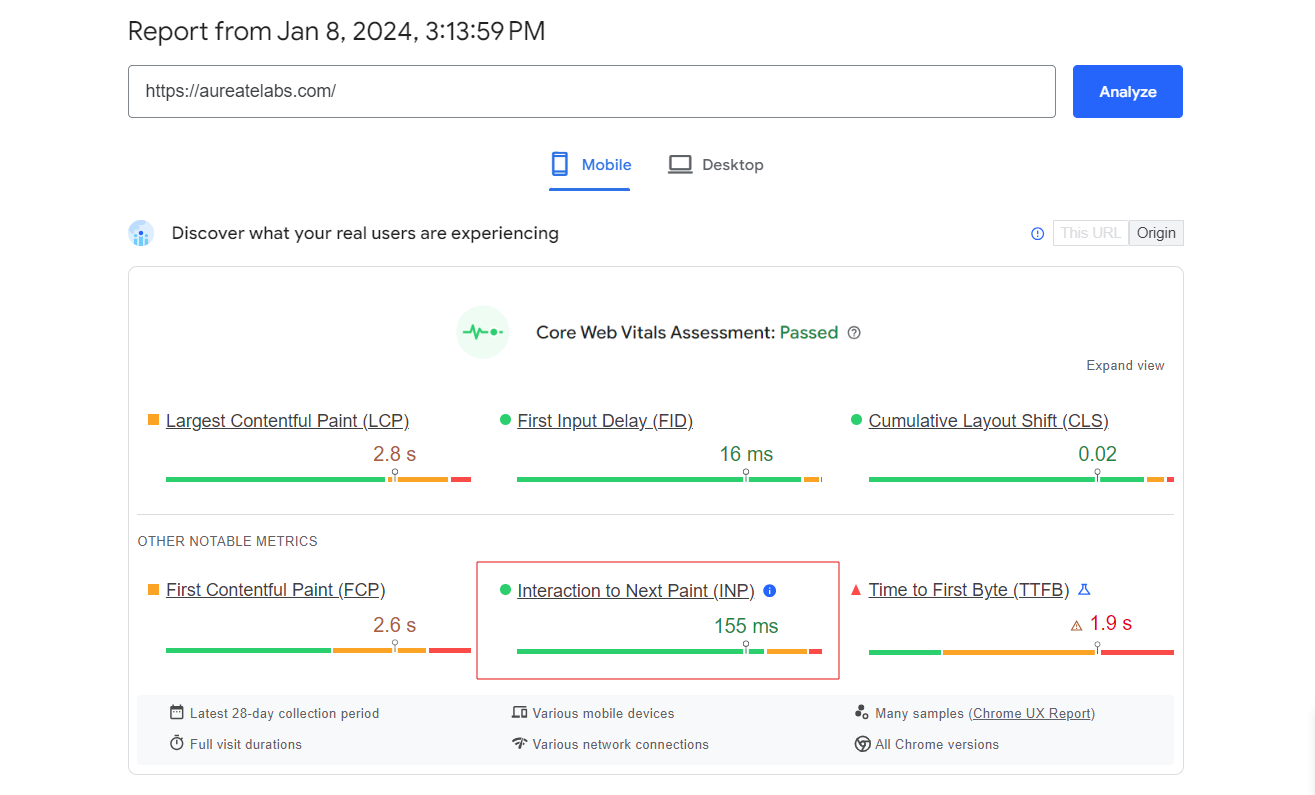 Website performance report from Google PageSpeed Insights